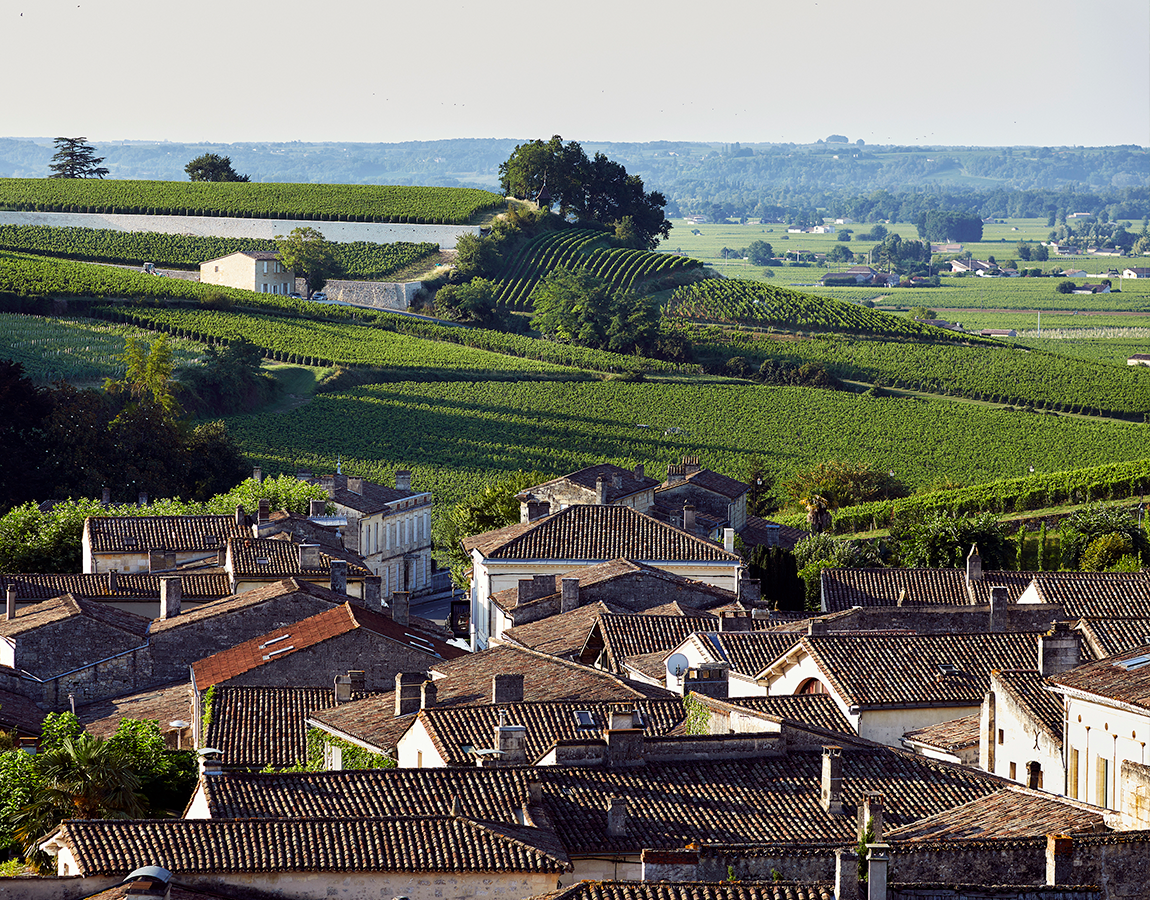 Parcelles de vignes à Bordeaux