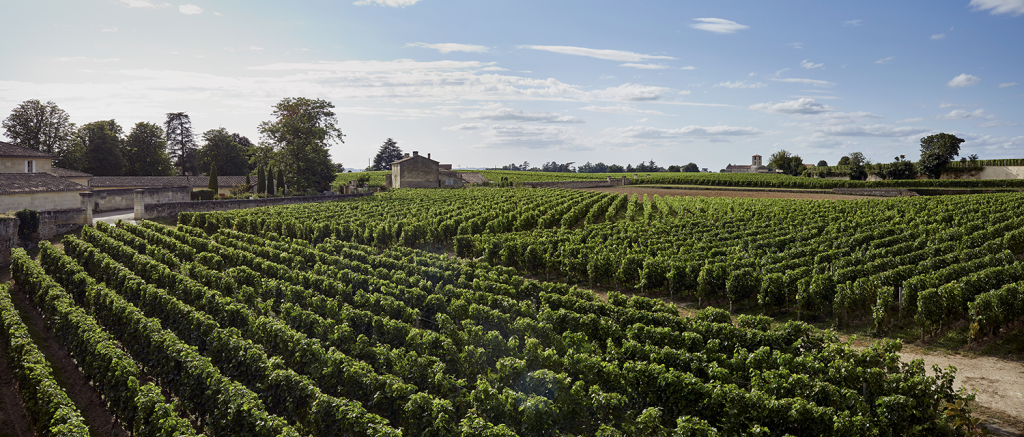 Assembler son vin de Bordeaux