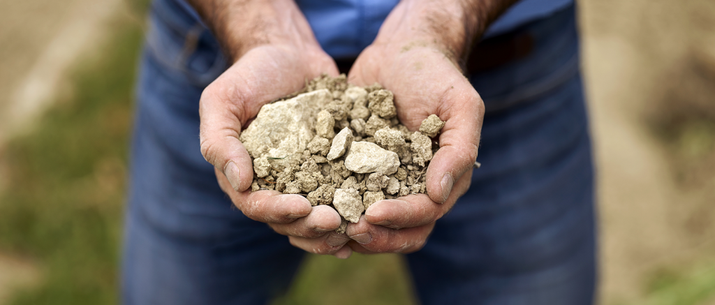 Comprendre le terroir bordelais pour tout savoir sur le vin.