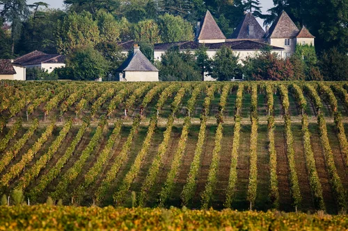 Château Carbonnieux