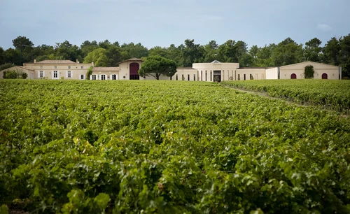 Château Domaine de Chevalier