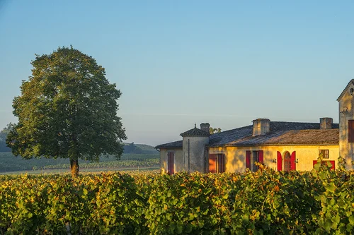 Château Sigalas Rabaud