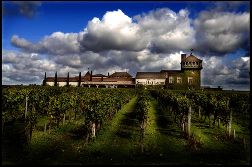Château Smith Haut Lafitte